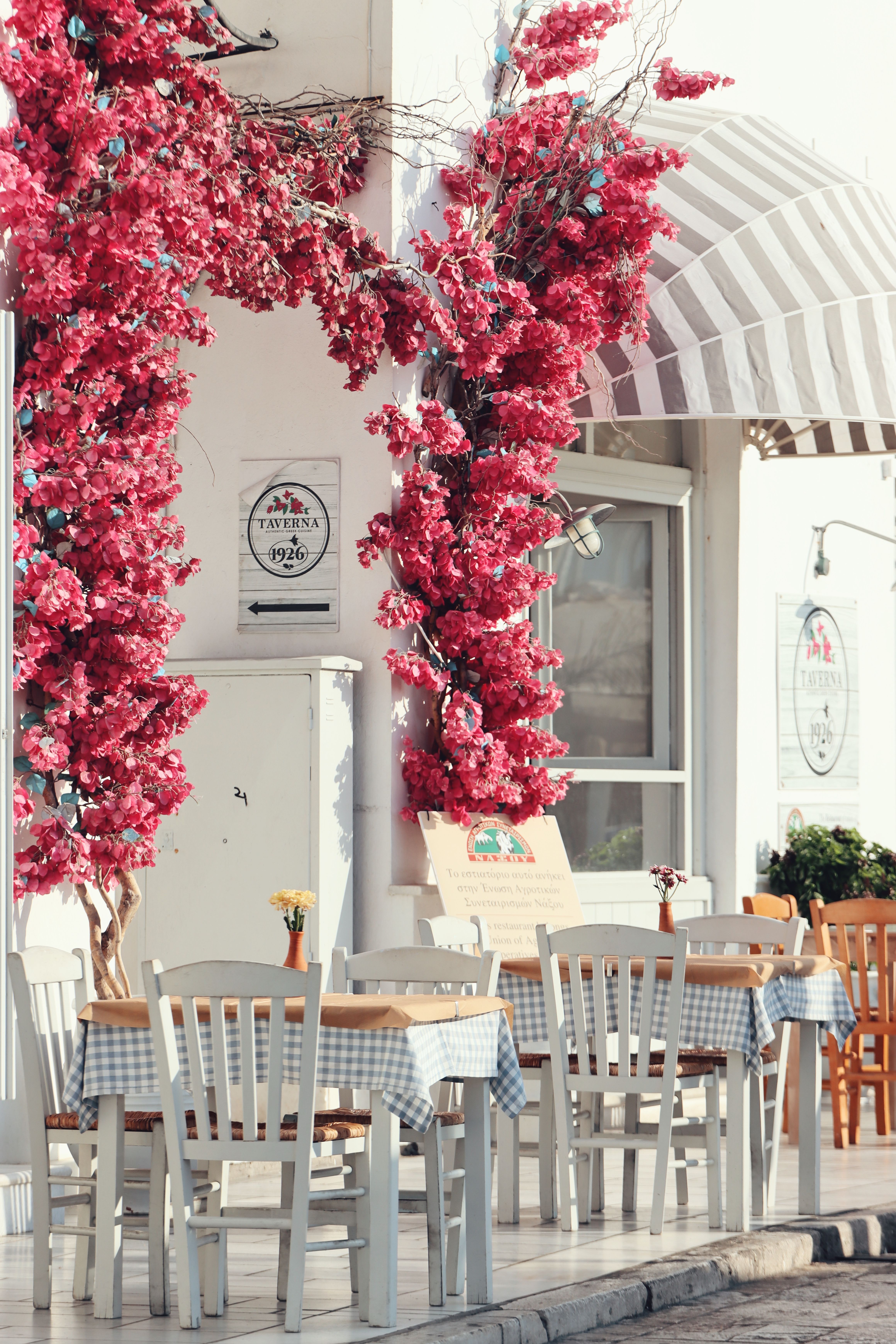 Beautiful Luna and Oak café interior